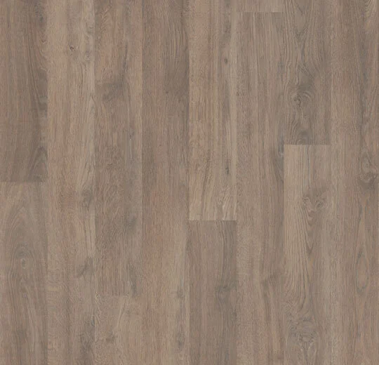 11952 steamed oak