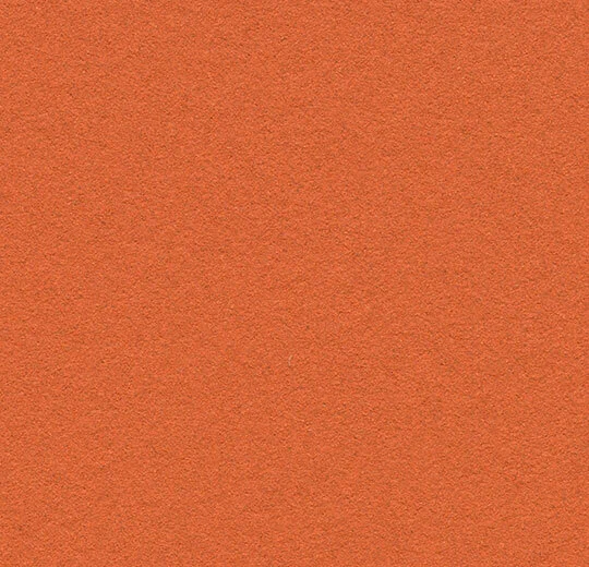 2211 tangerine zest