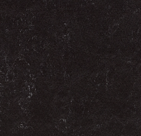 333209 raven