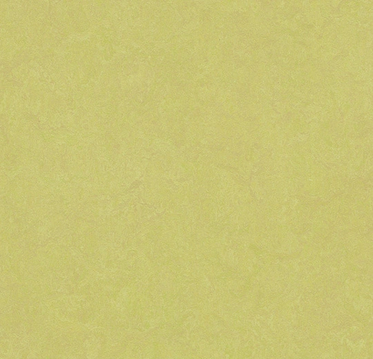 333885 spring buds