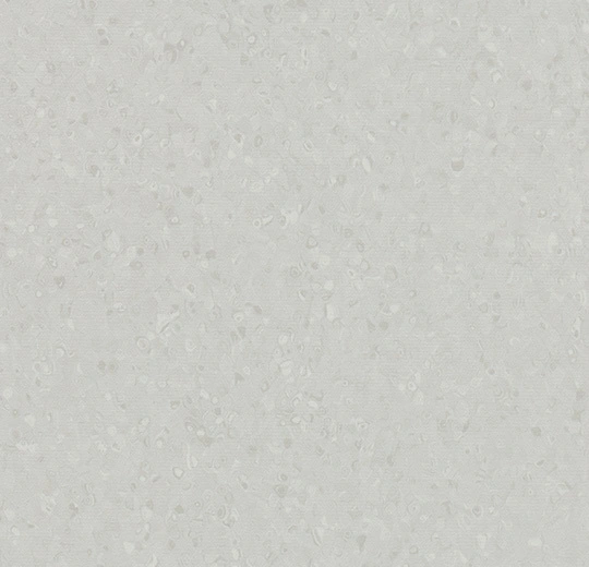 50003 light neutral grey