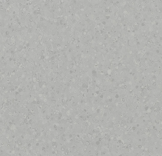 50004 mid neutral grey