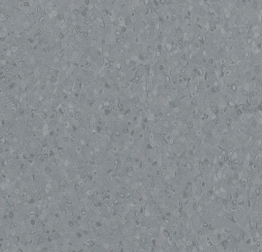 50005 dark neutral grey