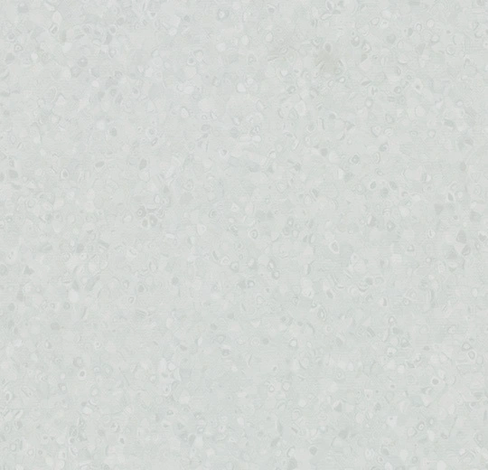 50007 grey sky