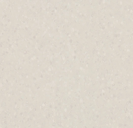 50017 ivory
