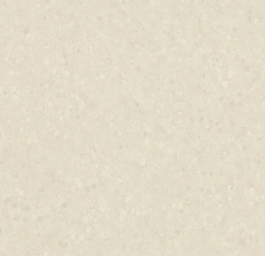 50022 shell