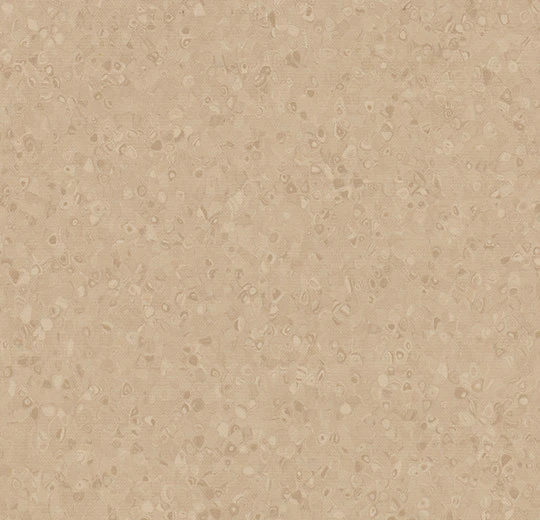 50024 stone