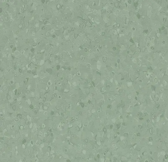 50050 olive