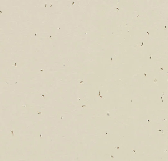 50221 linen