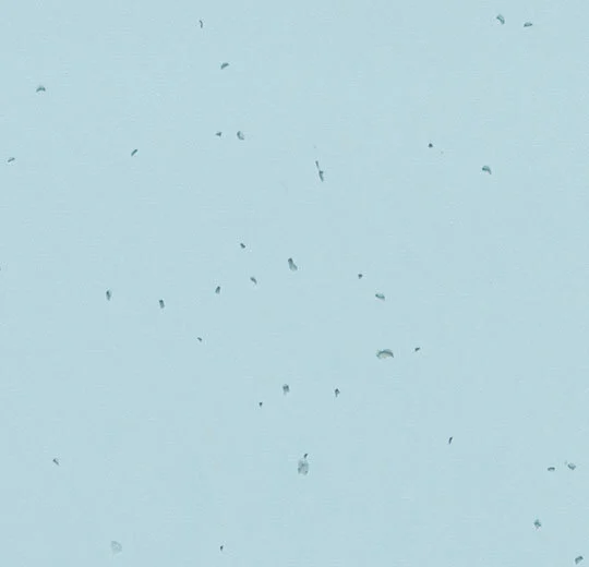 50239 ice