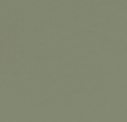 4184 olive