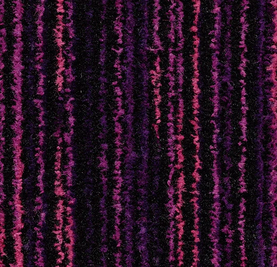 3219FR Coral Welcome FR colour purple