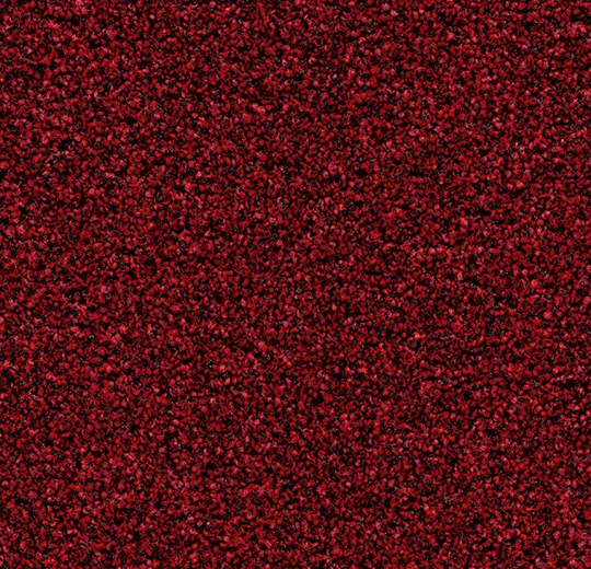 2603 vivid earth