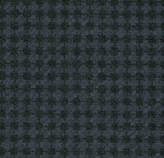 133008 Box-cross blueberry