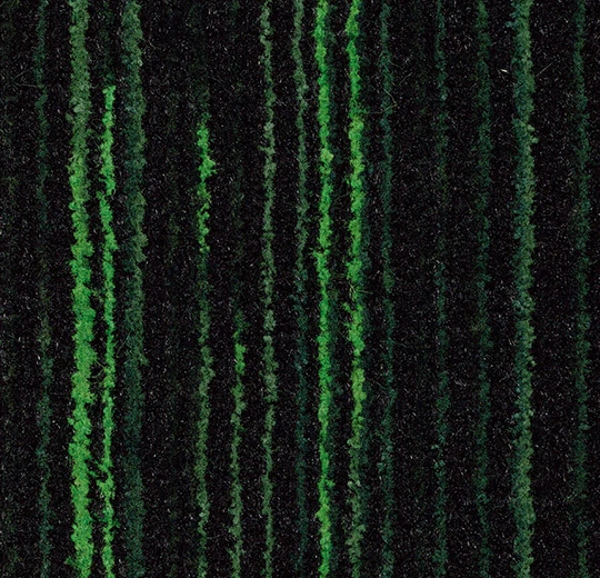 3208FR Coral Welcome FR matrix