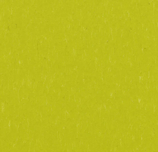 3646 young grass