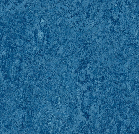 333030 blue
