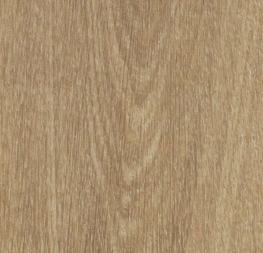 9084 natural giant oak