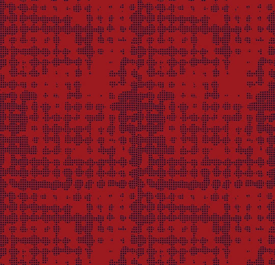 980304 Tessello tomato