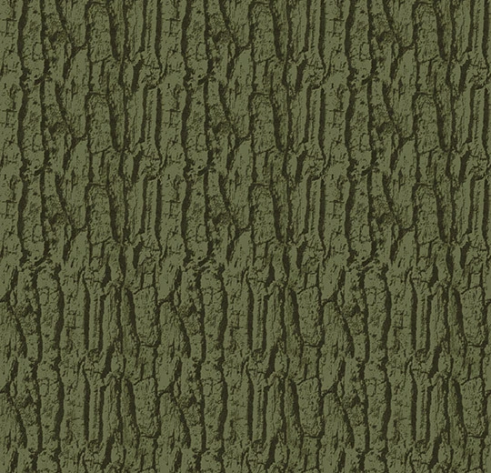 980603 Arbor moss