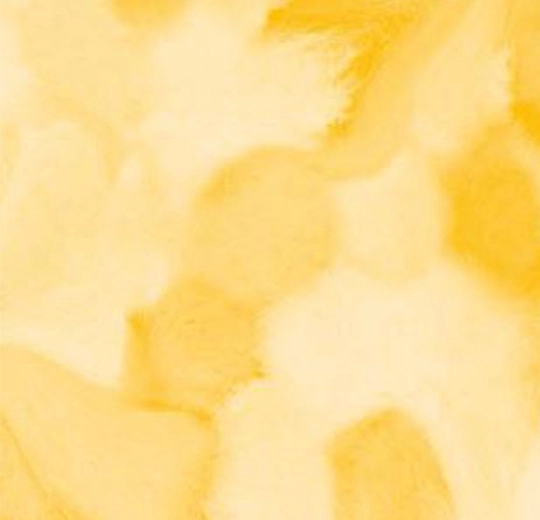 001596 Welcome to Jupiter Yellow
