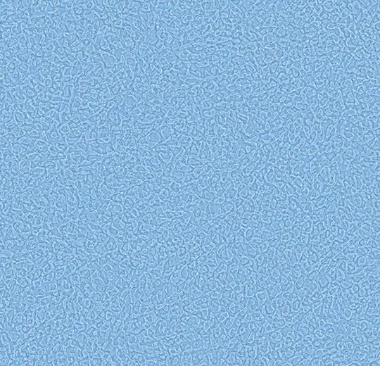 434557 flax blue