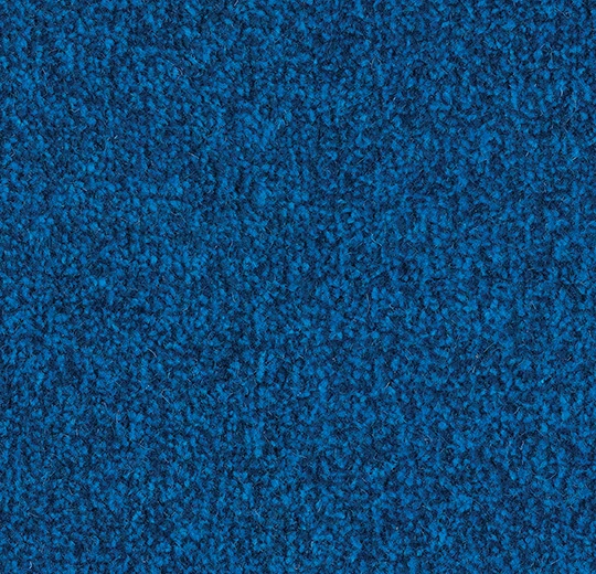 4222FR Sydney blue