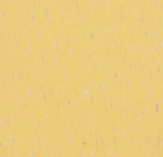 MCT 3653 sunflower
