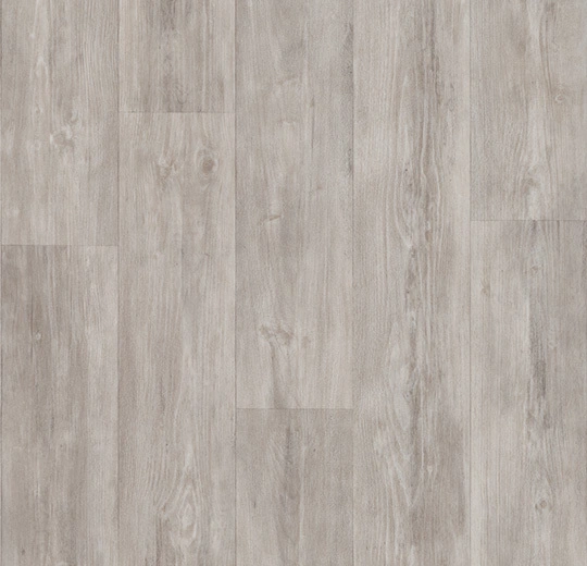 2894 grey pine