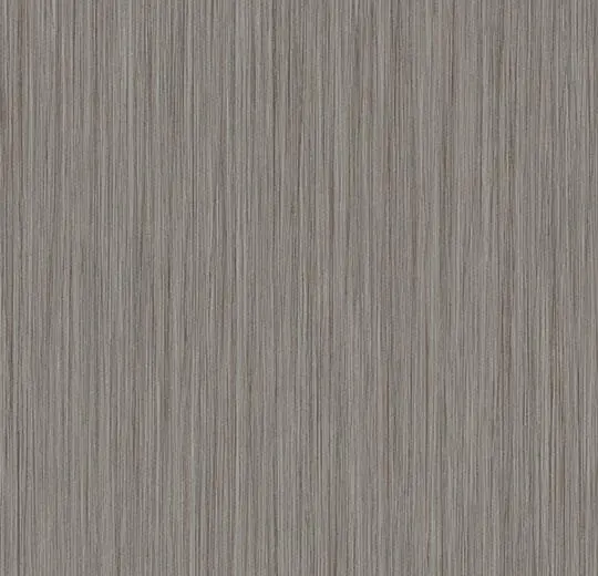 43C30121 gris clair