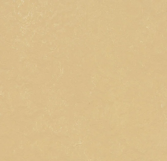 63726 venus