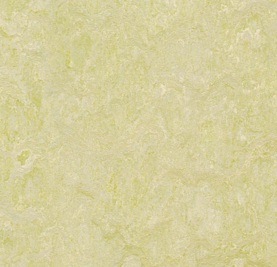63881 green wellness