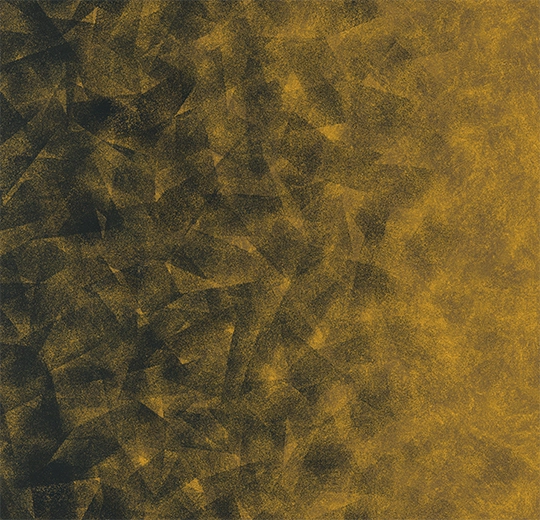 324011 Artist olive / gold B4
