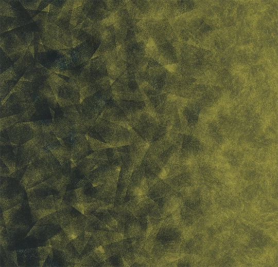 324012 Artist emerald / chartreuse B4