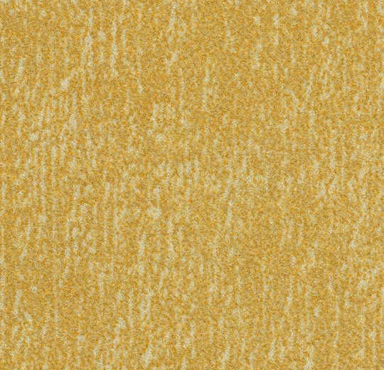 s445030 Canyon sulphur