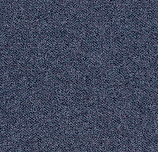 3618 torrent