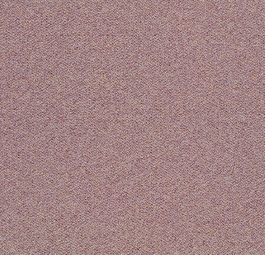 3622 wisteria