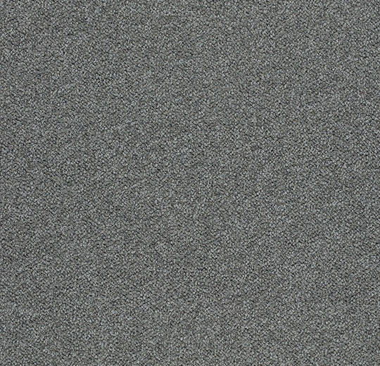 3604 elephant