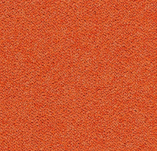 3625 calypso