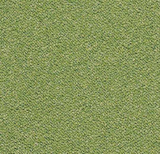 3617 botanical