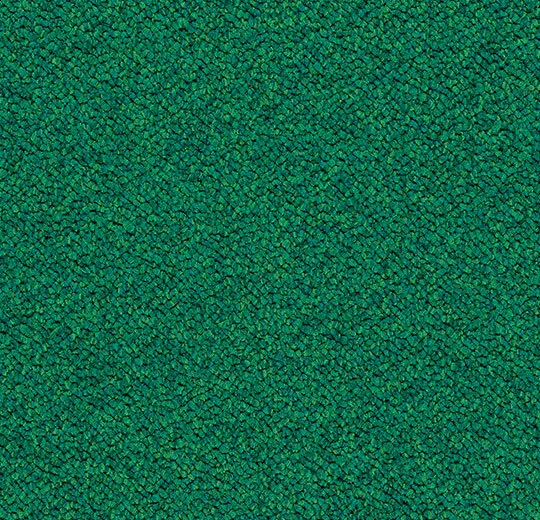 3620 evergreen