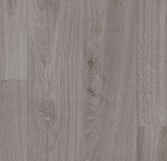 43T80472 oak silver