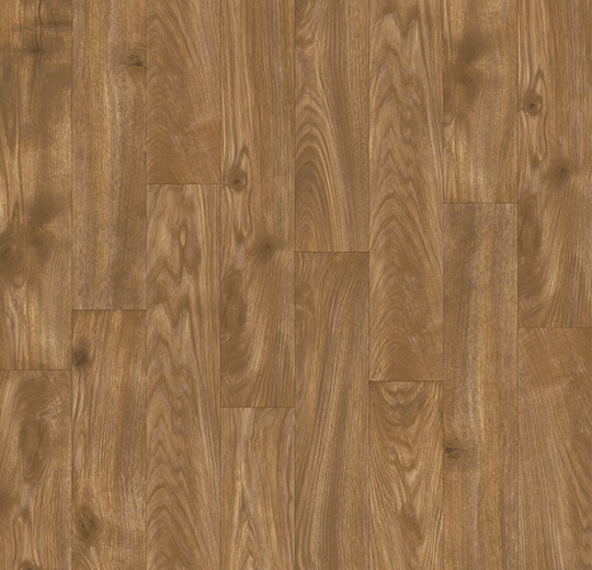 005014 Pumpkin Pine