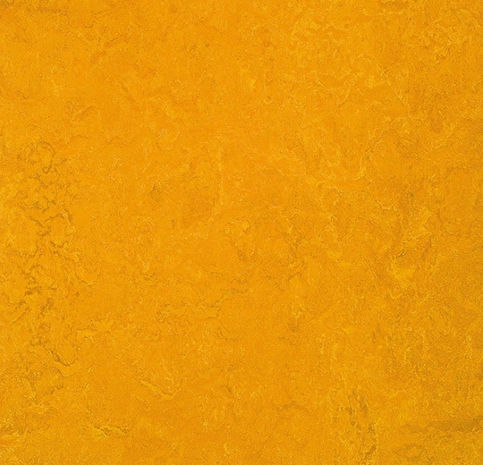 312535 golden sunset