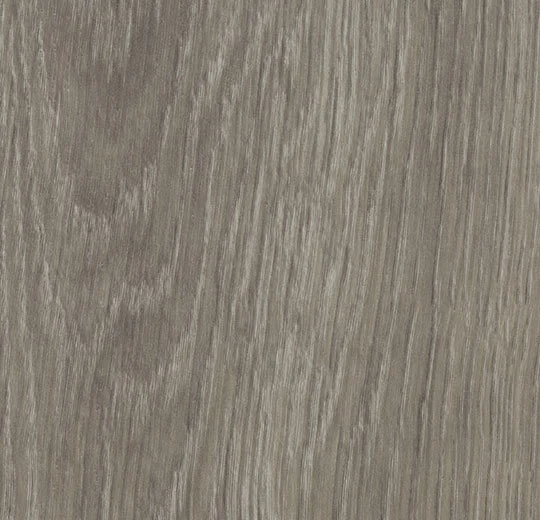 60280DR7 grey giant oak (180x32 cm)