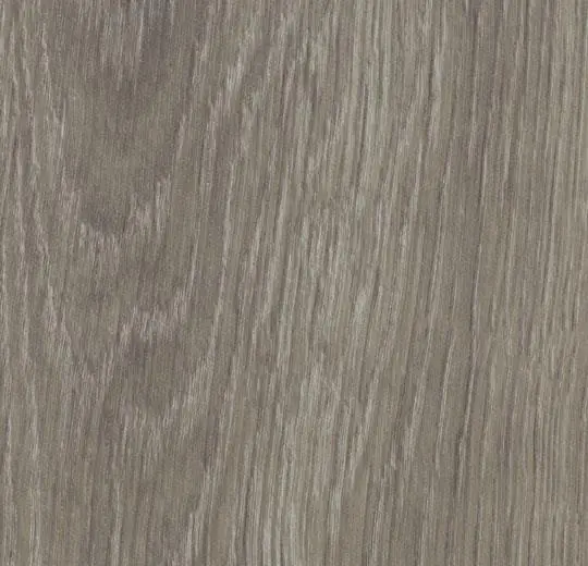 60280CL5 grey giant oak