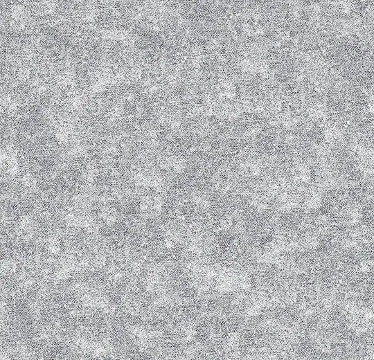 055101 Oyster