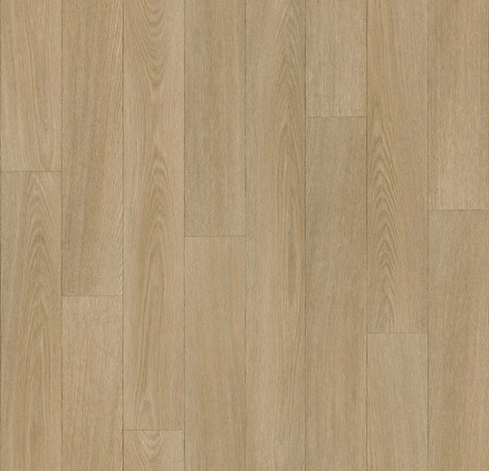 8383P43C oak L light natural