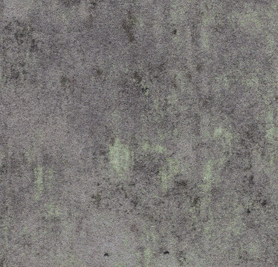 139014 Concrete lichen