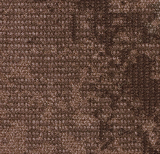 147008 Montage tundra